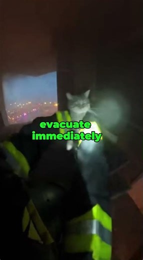 “High Rise Fire Rescue Firefighter Saves Terrifi