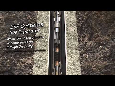 Artificial Lift Esp (BES)