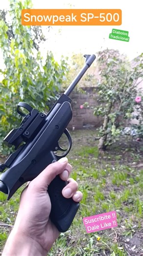 La Mejor Pistola de Aire #pistoladeaire #pistolfiring #pistoleros #airgunshooter #rifledeaire #shot