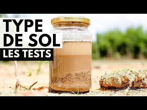 Comment Connaître son Type de Sol ?
