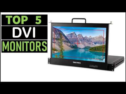 Best 5 DVI Video Monitors in [2026]