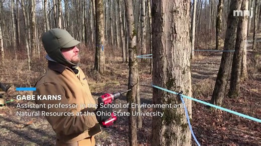 Mansfield News Journal on Reels