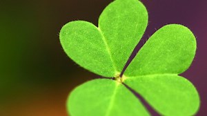 You Probably Aren't Doing Any Of These Which Could Make You Luckier - LifeHack