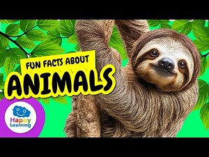 🐾✨ Most Amazing ANIMAL FACTS | Educational Videos for Children | ‪@HappyLearningENG‬
