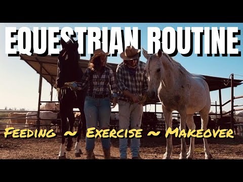 🐴 SUMMER EQUESTRIAN ROUTINE | morning & night feeding routine, horse makeover & lunging with saddle