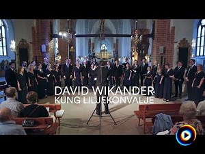 David Wikander | Lyrics, Song Meanings & Music Videos