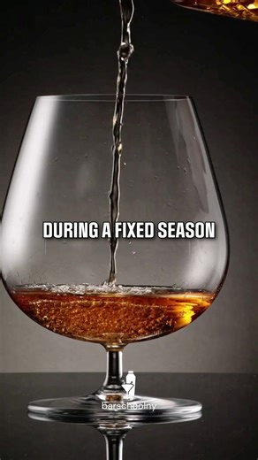 American Bartenders School on Instagram: "Cognac is a tightly regulated French brandy governed by strict appellation rules to protect quality and origin: it must be produced in the Cognac region of southwestern France using specified grape varieties (primarily Ugni Blanc), double-distilled in traditional copper pot stills (alambic charentais), and aged in French oak barrels for a minimum period (at least two years). Production is overseen by the BNIC, which controls yields, distillation timing, 