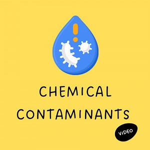 Food Safety - Cross Contamination Video