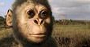 NOVA | Becoming Human Part 1 Preview | Season 36 | Episode 13