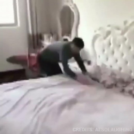 the origin of the Giant Cockroach in bed meme.