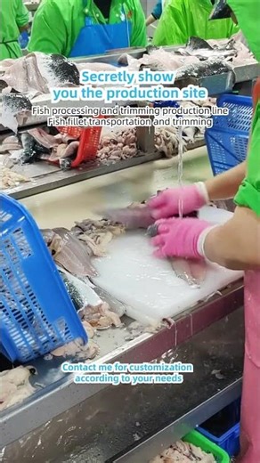 Fish fillet trimming line for snakehead