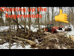 How I clean up fallen trees