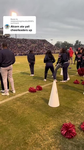 Cheerleaders Perform Exciting Routine on Grassy Field