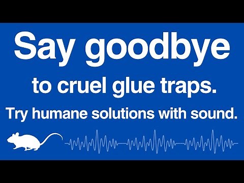 [12h] Glue Traps Alternative: High-Frequency Sound to Control Mice