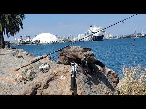 Long Beach Pier J Bonito on 4-lb test AGAIN!