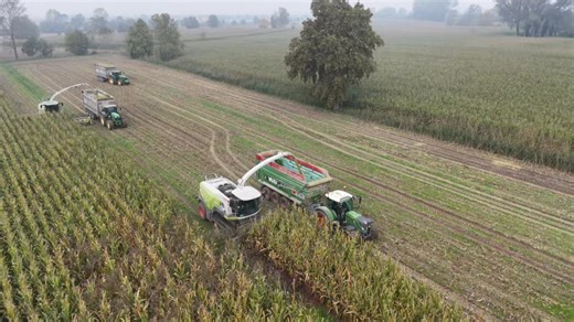 Lo Schema Mangiaettari e’ molto semplice: 3 trince (34 file in totale) e carri a gogo 💪🏻🌽 #NewsAgricoltura | NewsAgricoltura