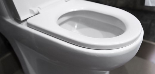 How Long Does a Toilet Last & When to Replace in 2026 - SwankyDen