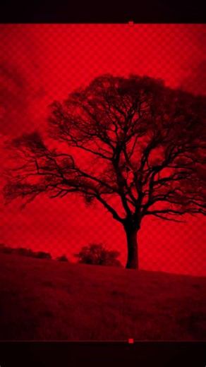 Tree Background Remove in Photoshop | Fast Selection with Integrated AI
