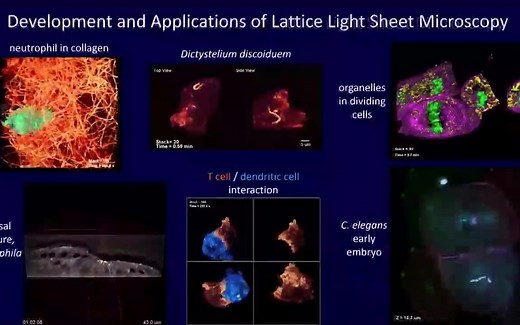 光片显微镜 (2) - Development and Applications of Lattice Light Sheet Microscopy