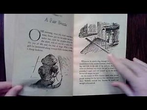 Read-Aloud: Stuart Little Chapters 5-6