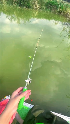 Most Unique Fishing Method | Catching Fish in Small Canal #fishing #shortvideo