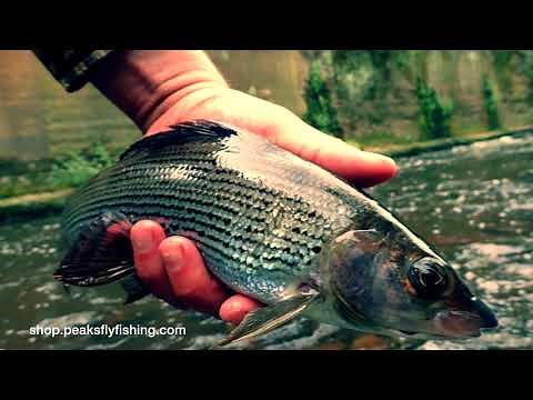 Fly Fishing - Upstream Nymphing With Perdigon Nymphs