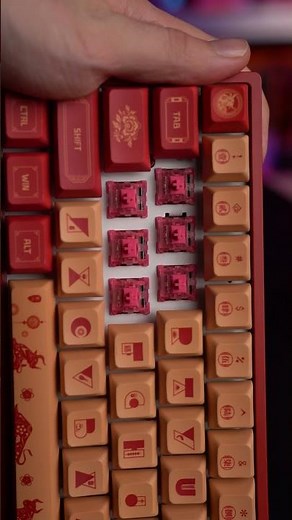 Keyboard ASMR | Akko Rose Red Keyboard switch sound test!