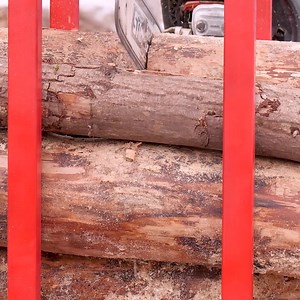 Incredible Chainsaw Hacks! | Lady Panda