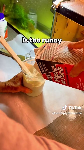 DIY Calcium Supplement for Shrimps and Snails