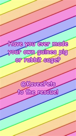 Create the Perfect Guinea Pig and Rabbit Cage