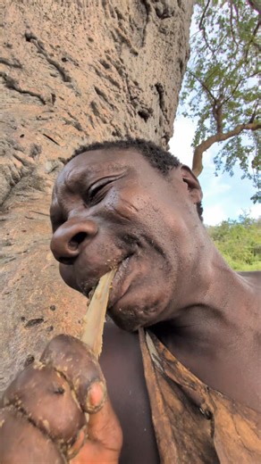 Hadzabe Lifestyle on Instagram: "Wow that's incredible life chaaba is good man see he give a Mom food with baby #hadzatribenew #hadzabetribe #short #trendingreelsvideo #foodlover . Hadzabe tribe cooks 🌲"