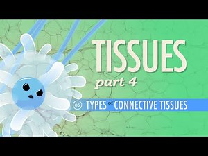 Nerdfighteria Wiki - Tissues, Part 4 - Types of Connective Tissues: Crash Course Anatomy & Physiology #5