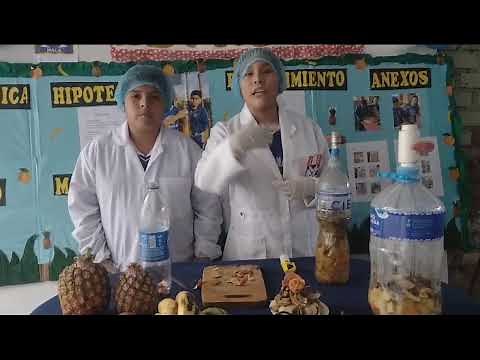 ¡¡BIOGAS A PARTIR DE CÁSCARAS DE FRUTA 🍎😁!! - CIENCIA, TECNOLOGÍA Y AMBIENTE 👩‍🏫