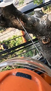 1M views · 3.5K reactions | Tree cutting between phone cable. | Yulianto | Facebook