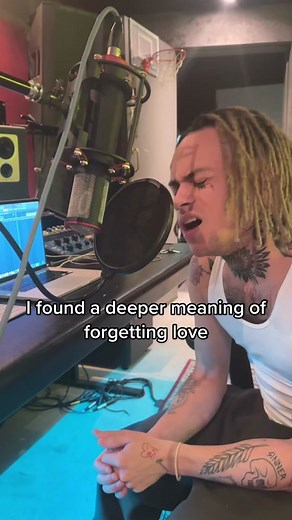 Chipmunk Droppings: What Do They Look Like?