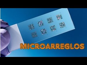 MICROARREGLOS- BIOQUÍMICA Y BIOLOGÍA MOLECULAR