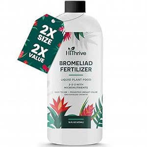 16oz Bromeliad Fertilizer - Makes 24 Gallons of Liquid Bromeliad Plant Fertilizer, Nutrient-Rich Bromeliads Live Plant Food for Greener Leaves, Vibrant Growth, and Beautiful Blooms