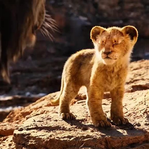 Simba's Journey in The Lion King Animation