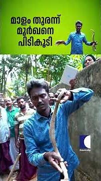 മാളം തുരന്ന് മൂർഖനെ പിടികൂടി #snakemaster #vavasuresh