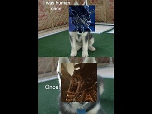 Blue Marsalis: The Woman Turned Xeno