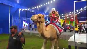 Miami FL- Garden Bros Nuclear Circus World's Largest Circus Under The World's Largest Big Top!! DATES / SHOW TIMES (WEEK1) Thur Nov 10 - 4:30pm & 7:30pm Fri Nov 11 - 4:30pm & 7:30pm Sat Nov 12 - 1:30pm & 4:30pm & 7:30pm Sun Nov 13 - 1:00pm & 4:00pm & 7:00pm Mon Nov 14 - 4:30pm & 7:30pm (WEEK2) Tue Nov 15 - 4:30pm & 7:30pm Wed Nov 16 - 4:30pm & 7:30pm Thur Nov 17 - 4:30pm & 7:30pm Fri Nov 18 - 4:30pm & 7:30pm Sat Nov 19 - 1:30pm & 4:30pm & 7:30pm Sun Nov 20 - 1:00pm & 4:00pm & 7:00pm LOCATION Mia