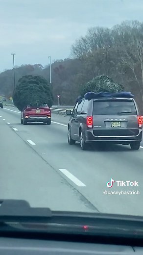 #christmastime #nationallampoonschristmasvacation #shittersfull #christmastree #onlyinnewjersey #njchristmas
