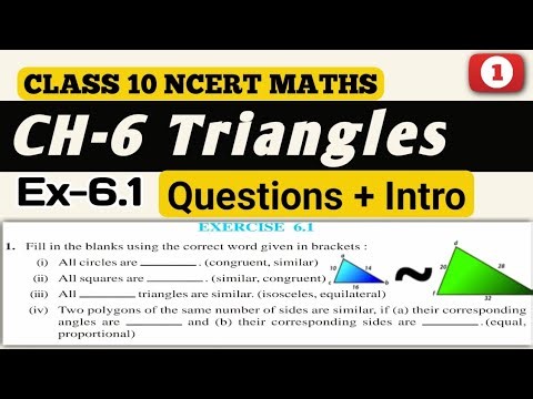 Class 10 Maths || Exercise 6.1 || Chapter 6 Triangles || New NCERT || CBSE