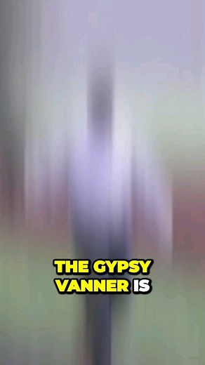 The Incredible Story of the Gypsy Vanner: From Caravan to Champion | Horses Are Beautiful