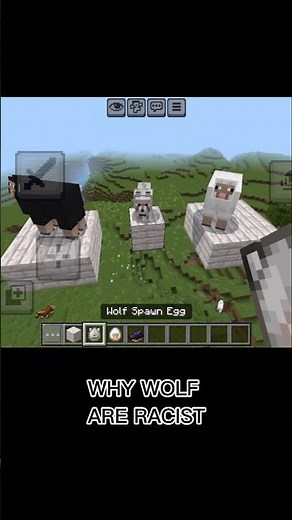 WHY MINECRAFT WOLFS🐺 ARE RACIST ⚫ #minecraft #minecraftshorts