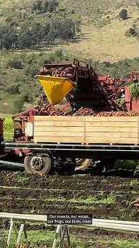 Organic Australian Farmers | Harris Farm Markets