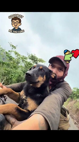 Why are you only playing for a little bit? #goodboypet #funnydogs #shorts
