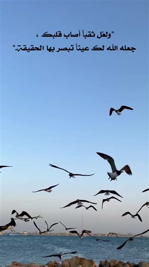 Flock of Seagulls Soaring Over Rocky Shoreline