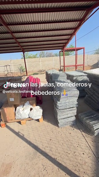 Emprendimiento Avícola: La Llegada de Jaulas y Comederos