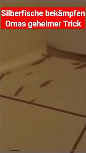 Silberfische bekämpfen Omas Hausmittel